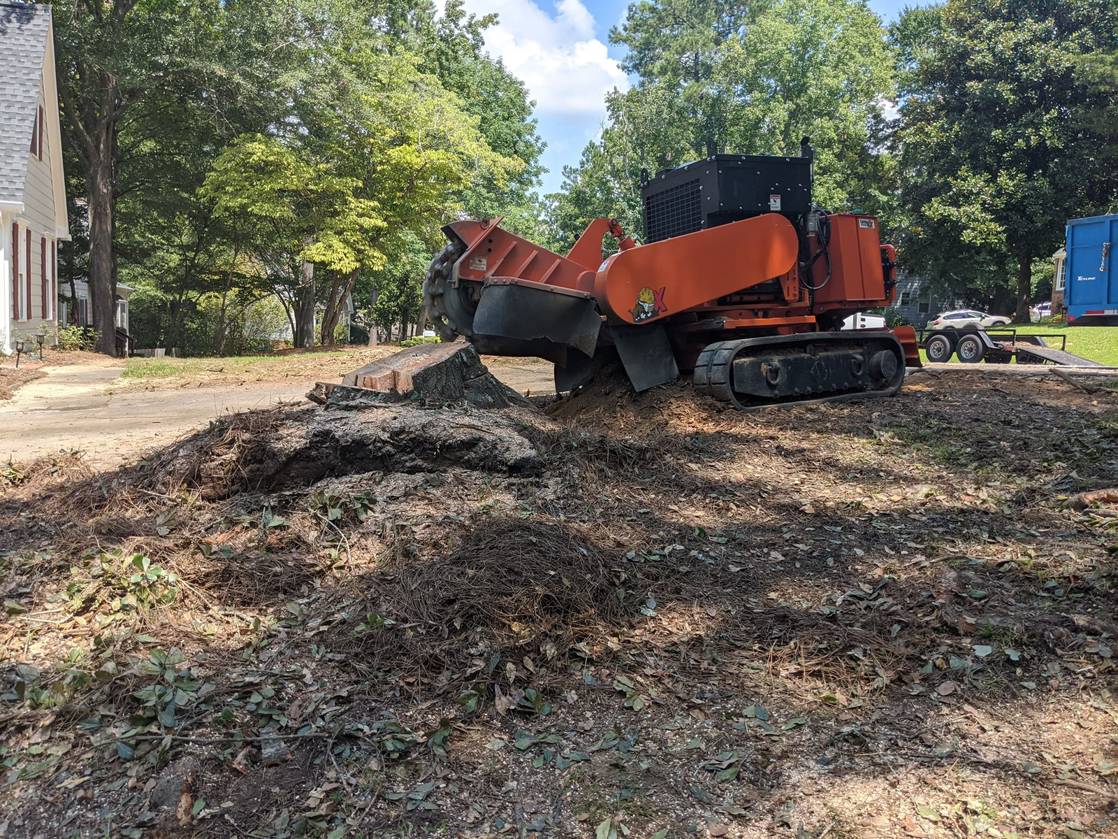 Carolina Stump Pros grinding a large stump in Columbia, South Carolina